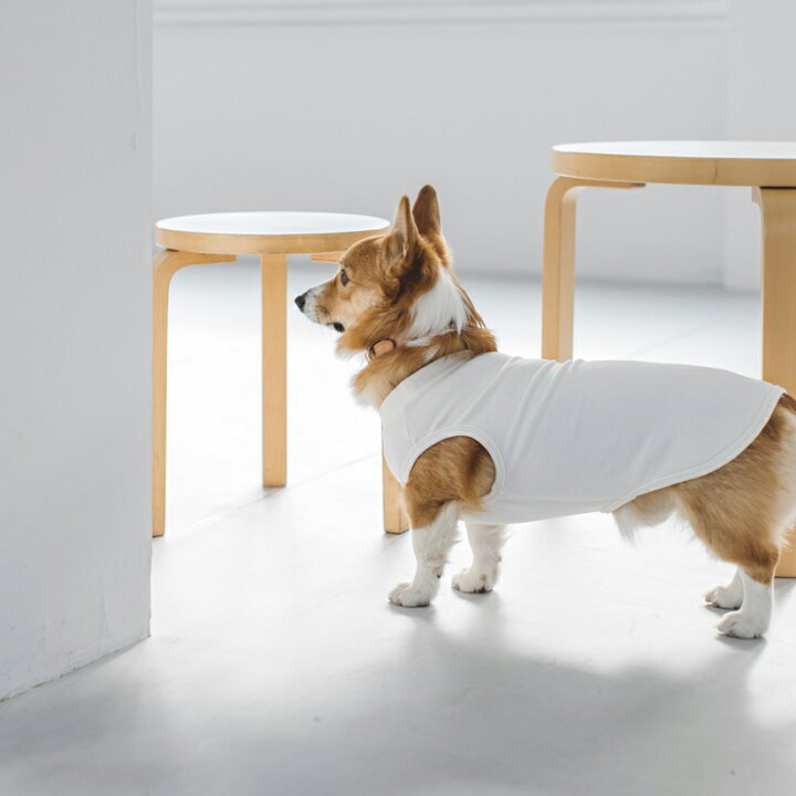 楽天市場 犬 服 ドッグウェア ストレッチタンク 3l 4l 犬服 おしゃれ タンク 高級 シンプル いぬ 洋服 ウェア ドッグ 日本製 フリーステッチ