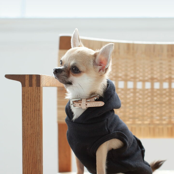 楽天市場 犬 服 ドッグウェア ストレッチニットフーディ Ss S M犬服 おしゃれ タンク 高級 シンプル いぬ 洋服 ウェア ドッグ 日本製 シンプル 犬 洋服 ドッグウェア おでかけ ドッグラン 普段着 フード パーカー Free Stitch