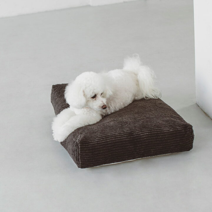楽天市場 犬 ベッド コーデュロイ スクエア ベッド M サイズ犬 猫ベッド ペット用ベッド ラウンド型ベッド Bed 洗える リネン ふかふか 国産 フリーステッチ