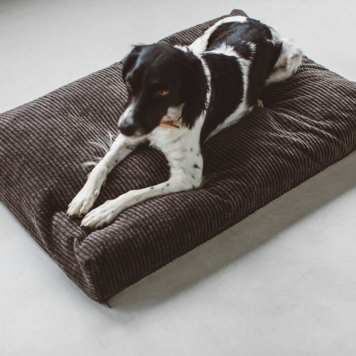 楽天市場 犬 ベッド 犬 猫ベッド ペット用ベッド ベッド Bed 洗える リネン ふかふか 国産 ペット 中型犬 大型犬 シンプル おしゃれ ペット ペットベッド マット コーデュロイ 洗える 洗濯コーデュロイ スクエア ベッド L サイズ フリーステッチ