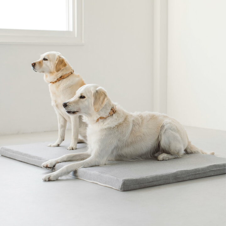 楽天市場 犬 マット コットンジャージ デュアル ウェーブ ベッド Ll サイズ冬 ハウス ドーム 犬ベッド 室内 大型犬 おしゃれ シニア犬 シニア シンプル Free Stitch