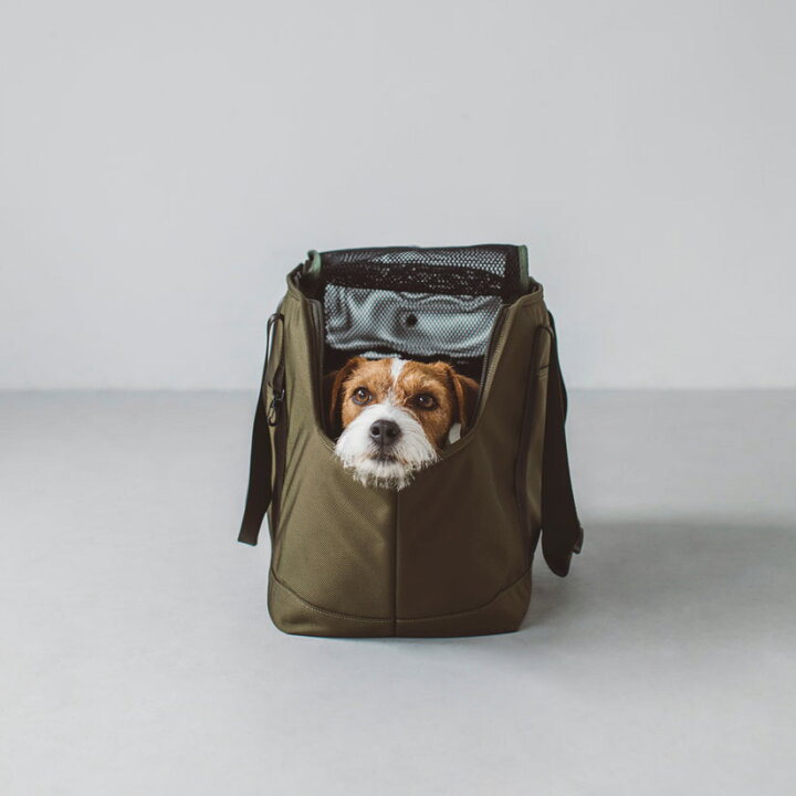 楽天市場 犬 キャリー バルコディ スクエア トート L サイズいぬ ドッグ 子犬 中型犬 かわいい おしゃれ シンプル トート バッグ かばん キャリーバッグ 犬 日本製 日本 電車 病院 通院 旅行 お出掛け 豆柴 柴 ダックス ジャック キャバリア Free Stitch
