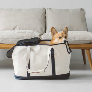 �y�� �L�����[�z�L�����[�o�b�O�@���b�V���@�W�t���@�y�ʁ@�y�b�g�L�����[�@�����@���@�L�����[�o�b�N�@�������@�V���v���@���{���@�l�C�@���s�@���o�|���@�J�t�F�@�d�ԁ@�V�����@��