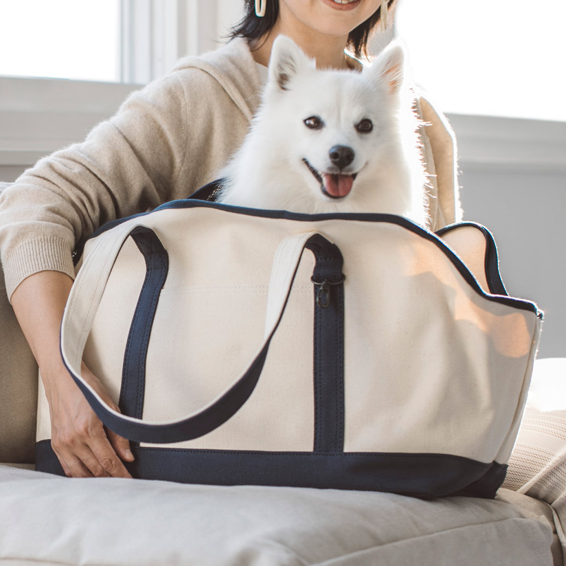 【犬 キャリー】フタ部分がメッシュなので公共機関の移動にも便利。ちょっとしたおでかけはもちろん旅行にも便利なスクエアタイプのトートバッグです。 【犬 キャリーバッグ】スクエア トート ハンプ ツートン M サイズキャリーバッグ キャリーバック バッグ かばん 鞄 小型犬用 犬用品 ペット用品 動物 洗える 洗濯 日本 シンプル おしゃれ 人気 旅行 お出掛け ドッグカフェ 散歩