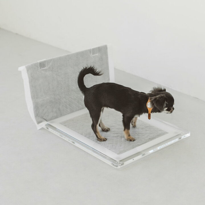 楽天市場 犬 トイレ トイレトレー 室内トイレ 国産 囲い 足上げ 水洗い オス 飛び散り 防止 犬 小型犬 中型犬 日本産 犬 トイレ トレー トレーニングペットトレー レギュラー いぬオリジナル アクリル トイレ トレイ サイドウォール S ショート 犬 フリーステッチ