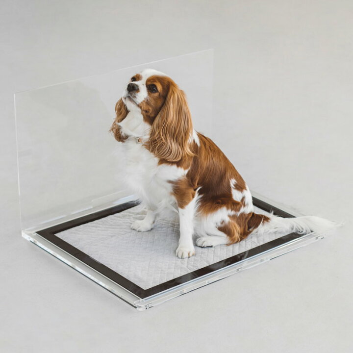 楽天市場】犬 トイレ トイレトレイ トイレトレー ドッグ いぬ 犬の 
