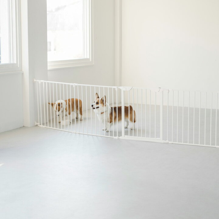 楽天市場】【犬 サークル】スタイリッシュドッグサークル用 壁取付 
