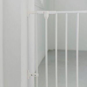 y T[NzX^CbVhbOT[Np ǎtp[cLbg