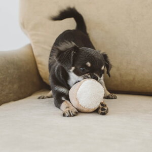 free stitch IWi I[KjbNRbggC@}