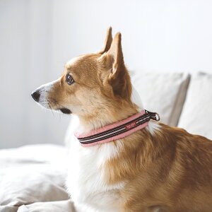 ハーフチョーク 首輪 中型犬 犬用リードの人気商品 通販 価格比較 価格 Com