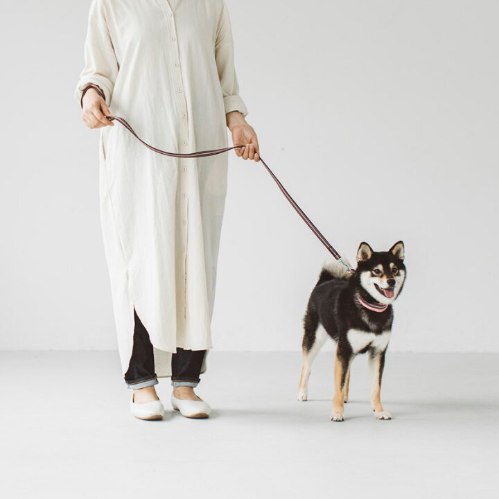 楽天市場 犬 リード フレッシュ ストライプ リード M サイズ 中型犬 犬用品 ペット用品 リード 小型犬 中型犬 Free Stitch