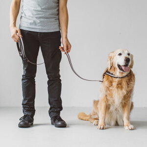 y [hztNeBu [h@L TCY@^[h   ̌郊[h 炫烊[h [h  U hbO ̖h~ ^ ^