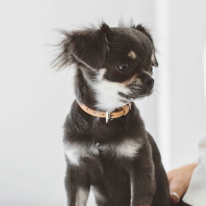 yv ցzIWi kJ[ 3S^@^@^Cj[@eB[Jbv@v[h@`@[NVeA@L@eL@e@q@ps[@@@ց@J