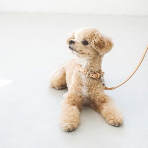 y ցzIWi k E[u J[ S   v 킢 ^  ̎  т U[ Vv@x[VbN@ց@{@ybg@k@@Vv