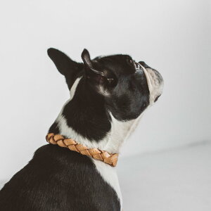 y ցzk E[u J[ L TCY@ @^@v@v@@{v@U[@@킢@{@lC@Vv@RbJ[@ā@ps[@ybg@hbO@