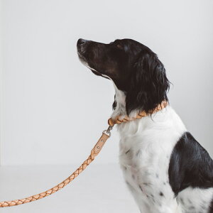 y ցzIWi k E[u J[ LL TCY@pi@ց@@ց@ց@U[@v@ʁ@т@^@^@Vv@@U[@{@Wp