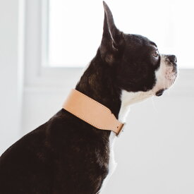 【犬 首輪】オリジナル ヌメ カラー ワイド L サイズ　革　皮　おしゃれ　シンプル　かわいい　犬　ドッグ　首輪　カラー　いぬ　イヌ　ワイドタイプ　シュナ　シュナウザー　イタグレ　イタリアングレーハウンド　日本製　柔らかい　幅広　ペット　動物　くびわ