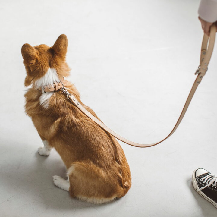 楽天市場 犬 リード オリジナル ヌメ リング リード L サイズ 犬用ペット用リード 犬 ペット リード 首輪 散歩 犬用 リード カジュアル おしゃれ カラフル ファッションリード 大型犬 中型犬 カラー 訓練 トレーニング フリーステッチ