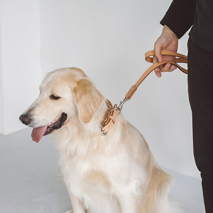 楽天市場 犬 リード 革 オリジナル ヌメ ショート リ ド 大型犬犬用リード 犬のリード お出かけ お散歩グッズ おでかけグッズ 犬用品 ペット ペットグッズ ペット用品 リ ド Free Stitch