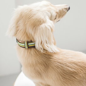 【犬 革 首輪】小型犬用 サニーストライプカラー S くびわ 皮