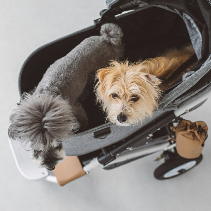 楽天市場】Air Buggy for Dog エアバギーフォードッグブレーキモデル 