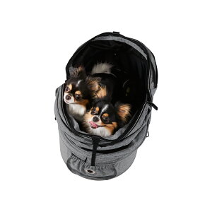 Air Buggy for Dog Dome3 M[ GAoM[tH[hbO@h[3 M[ PiAirbuggy for dog Dome