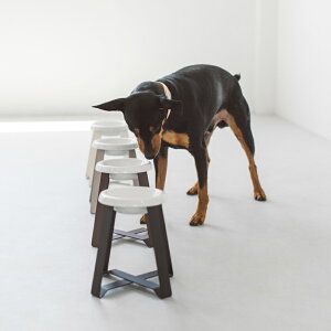 中型犬用フードスタンド 食べやすい食器台の犬向けフードボウルスタンドのおすすめランキング わたしと 暮らし