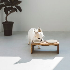 MESHIDAI GOHAN HEIGHT SS _u@REPLUSvX@V_C@Sn nCg@@hbO@t[h{E@foodbowl@dog@@@ؐ