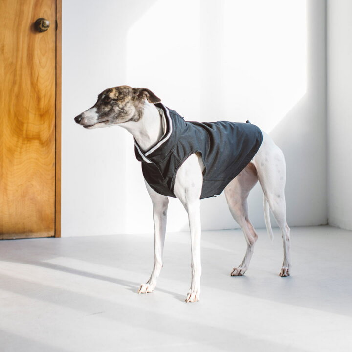 楽天市場】【犬 服 洋服】 ウィンドブレーカー 4L / 5L / 6L / 7L大型 