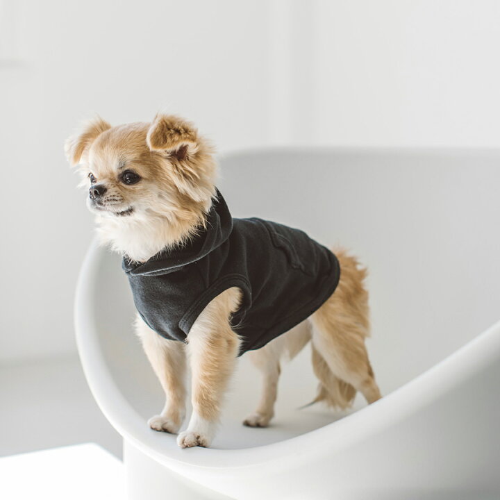 楽天市場 犬 服 ドッグウェア ストレッチニットフーディ Ss S M犬服 おしゃれ タンク 高級 シンプル いぬ 洋服 ウェア ドッグ 日本製 シンプル 犬 洋服 ドッグウェア おでかけ ドッグラン 普段着 フード パーカー フリーステッチ