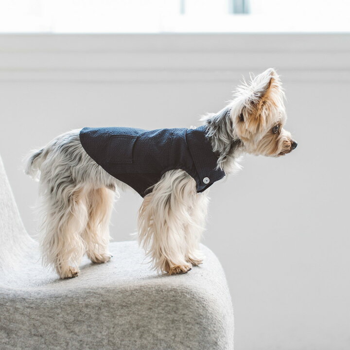 楽天市場 犬 服 ドッグウェア クールマックスサッカーストレッチシャツ S M 犬服 おしゃれ タンク 高級 シンプル いぬ 洋服 ウェア ドッグ 日本製 シンプル 犬 洋服 ドッグウェア おでかけ ドッグラン 普段着 フリーステッチ 楽天市場 犬 服 ドッグウェア クールマックスサッカーストレッチシャツ S M 犬服 おしゃれ タンク 高級 シンプル いぬ 洋服 ウェア ドッグ 日本製 シンプル 犬 洋服 ドッグウェア おでかけ ドッグラン 普段着 フリーステッチ