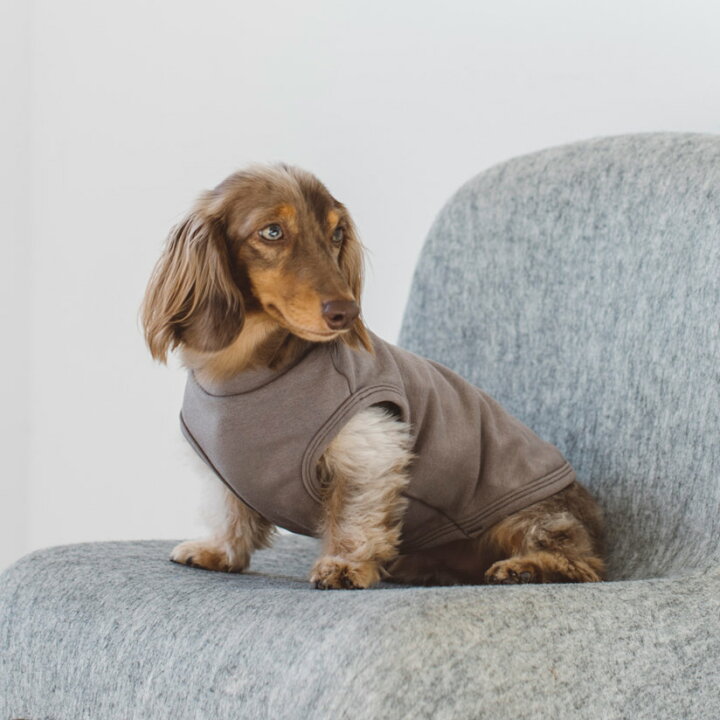 楽天市場 犬 服 ドッグウェア ストレッチタンク M L Ll犬服 おしゃれ タンク 高級 シンプル いぬ 洋服 ウェア ドッグ 日本製 シンプル 犬 洋服 ドッグウェア おでかけ ドッグラン 普段着 Free Stitch