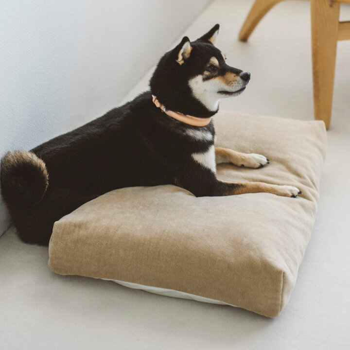 楽天市場 犬 ベッド 犬ベッド 猫ベッド ペット用ベッド ペット 犬用 ドッグ ドッグ 子犬 タオル Bed 洗える ふかふか 国産 日本 おしゃれ シンプル シャンプー 洗濯 四角 人気 送料無料コットンダブルフェイス スクエアベッド M サイズ フリーステッチ