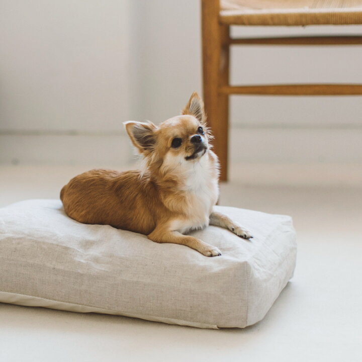 楽天市場】【犬 ベッド】ペットソファ コットン ペット用品 ペット用 