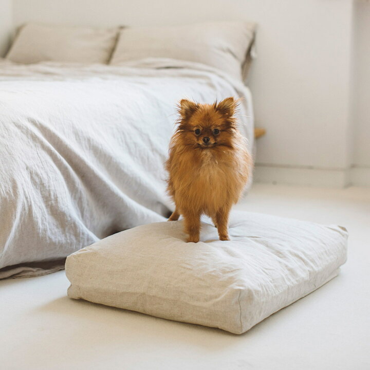 楽天市場】【犬 ベッド】ペットソファ コットン ペット用品 ペット用 
