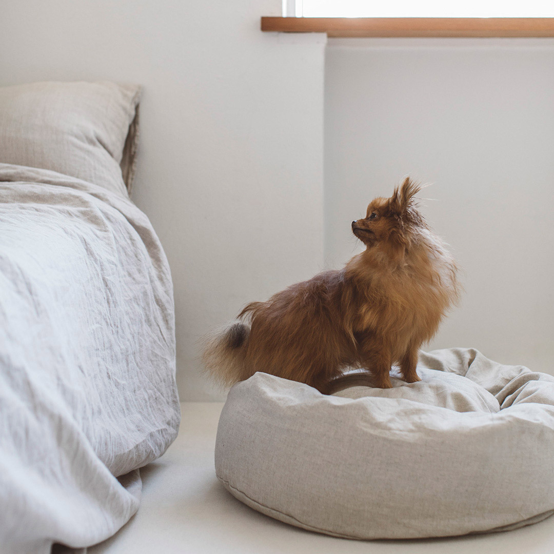 楽天市場】【犬 ベッド】いぬ ドッグ ドッグベッド 犬のベッド dog bed 