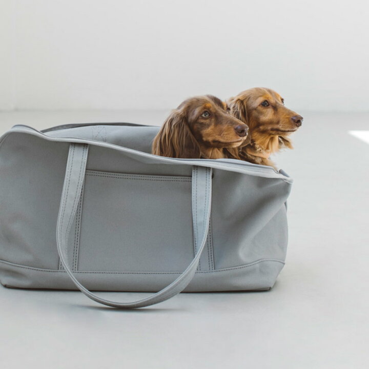 楽天市場 犬 キャリー キャリーバッグ おしゃれ 軽い 中型犬 洗える 人気 ドッグ キャリー かばん 鞄 シンプル バッグ コッカー 多頭 ボストン パグ 旅行 電車 公共機関 防災 災害スクエア トート キャンバス ソリッド L サイズ フリーステッチ