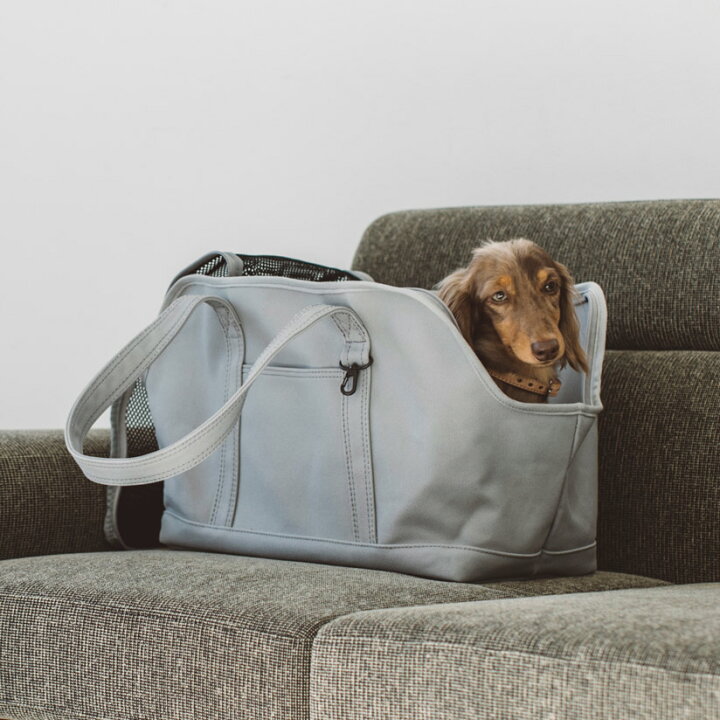 楽天市場 犬 キャリー スクエア トート キャンバス ソリッド M サイズ犬 バッグ キャリー ペット 犬用 バック 小型犬 中型犬 おしゃれ シンプル トイプードル ジャック 防災 電車 日本製 ドッグ バッグ クレート 旅行 公共機関 多頭 キャバリア Free Stitch