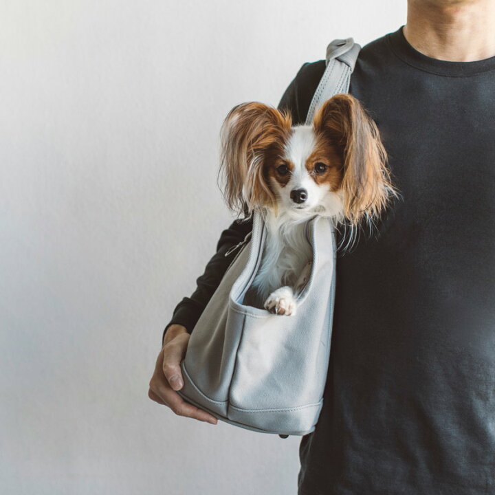 楽天市場 犬 キャリー 犬 猫 キャリーケース キャリーバッグ おしゃれ 中型犬 小型犬 シンプル 帰省 電車 防災 帆布 軽量 多頭 おでかけ プードル キャバリア ドッグ Dog いぬ 子犬 仔犬 送料無料スクエア トート キャンバス ソリッド M サイズ フリーステッチ