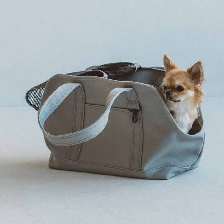 楽天市場 犬 キャリー 犬 キャリーバッグ ダックス トイプードル ハウス 犬 猫 お出かけ 小型犬 帆布 犬 猫 キャリーケース キャリーバッグ おしゃれ 小型犬 シンプル 帰省 電車 防災 帆布 軽量 多頭 おでかけスクエア トート キャンバス ソリッド S サイズ