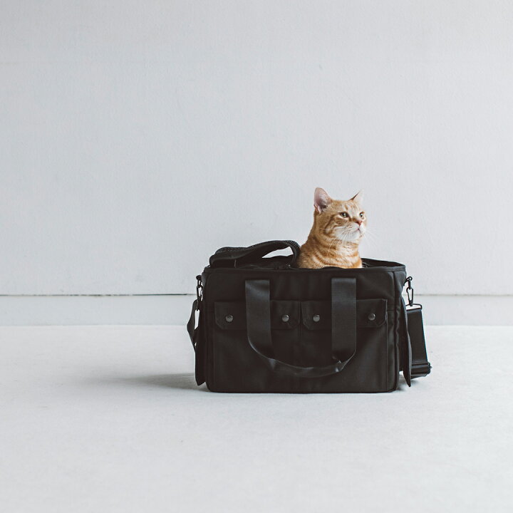 楽天市場 猫 キャリー ペットキャリーバッグ ペットキャリー リュック 猫 犬 ペットキャリーリュック ペットバッグ 猫用 ペット用品 折りたたみ 車 防災 避難用 通院 送料無料 ネコ ねこ 仔猫 子猫 キャット 小猫 シンプル おしゃれバルコディ キャリー Mサイズ