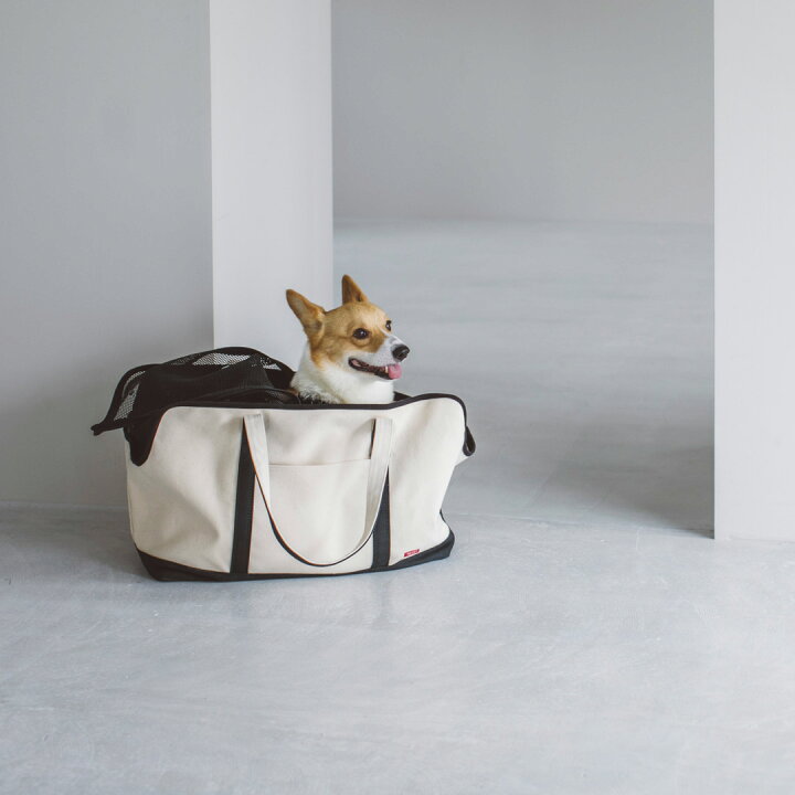 楽天市場】【犬 キャリー】キャリーバッグ メッシュ 蓋付き 軽量 