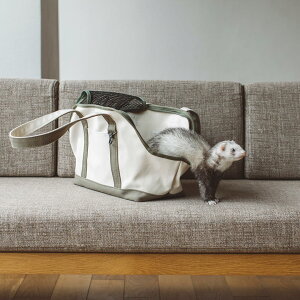 ytFbg@L[ztFbg L[obO ybgL[ L[P[X  bVybgL[ hCuL[@obO@΂@@z@􂦂@ʉ@@