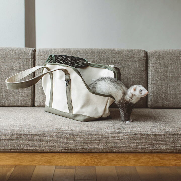 楽天市場】【フェレット キャリー】フェレット キャリーバッグ ペット  