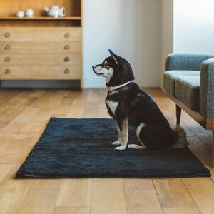 yybg }bgzP[W@Q[W@V[g@}bg@ȒP@񂽂@hbOpi@T[N@X^CbV@Vv@O@O~ O}bg@ybg@ybgp@Rہ@L@h