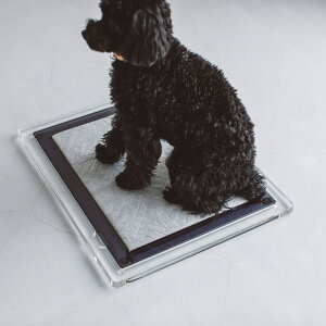 Y Y Ɩp ^ ybgV[c gC^[ P[X ybgp J[{V[c {