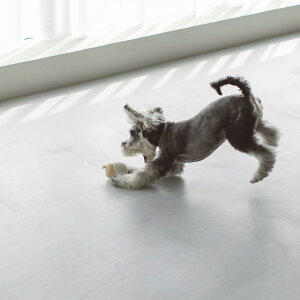 free stitch オリジナル オーガニックコットントイ ボウル