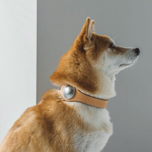 【犬 革 首輪 】オリジナル ヌメ コンチョ カラー L サイズ犬の首輪 犬首輪 中型犬用 革 いぬ くびわ 犬用 本革 革 首輪 皮 かわいい シンプル おしゃれ かっこいい ペット