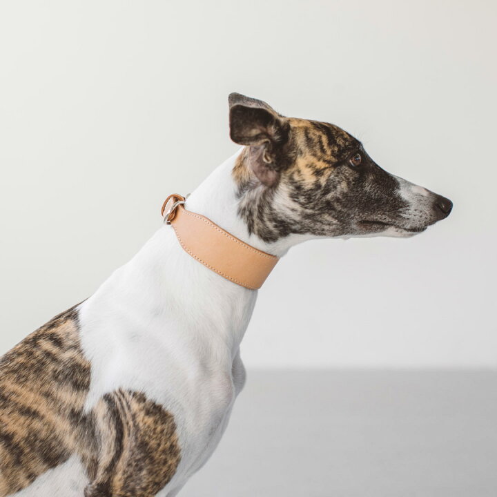楽天市場 犬 首輪 オリジナル ヌメ カラー ワイド L サイズ 革 皮 おしゃれ シンプル かわいい 犬 ドッグ 首輪 カラー いぬ イヌ ワイドタイプ シュナ シュナウザー イタグレ イタリアングレーハウンド 日本製 柔らかい 幅広 ペット 動物 くびわ Free Stitch