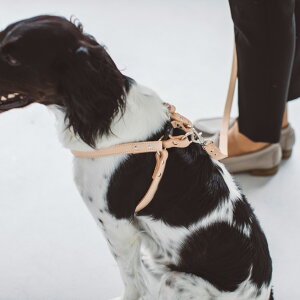 y n[lXz̃n[lX `^p IWikO^b`n[lX v 50